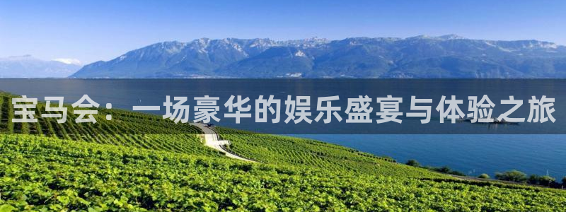 极悦生活：宝马会：一场豪华的娱乐盛宴与体验之旅