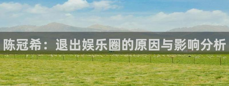 极悦娱乐官网：陈冠希：退出娱乐圈的原因与影响分析