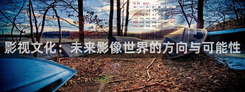 极悦官方注册：影视文化：未来影像世界的方向与可能性
