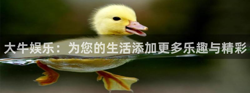 极悦官方网：大牛娱乐：为您的生活添加更多乐趣与精彩