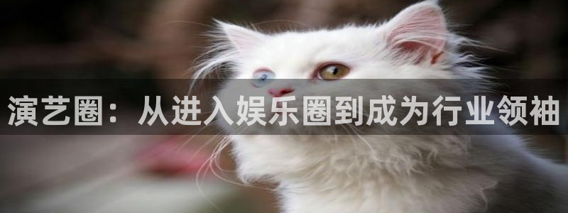 极悦平台注册：演艺圈：从进入娱乐圈到成为行业领袖