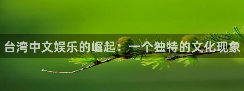 极悦：台湾中文娱乐的崛起：一个独特的文化现象