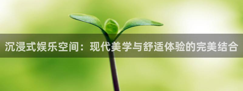 极悦：沉浸式娱乐空间：现代美学与舒适体验的完美结合