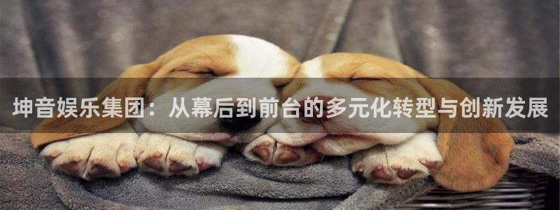 极悦代理22032：坤音娱乐集团：从幕后到前台的多元化转型与创新发展
