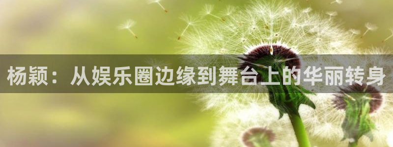 极悦代理22032：杨颖：从娱乐圈边缘到舞台上的华丽转身
