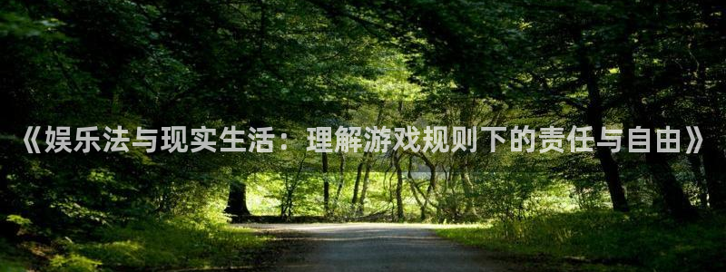 舒克极悦：《娱乐法与现实生活：理解游戏规则下的责任与自由》