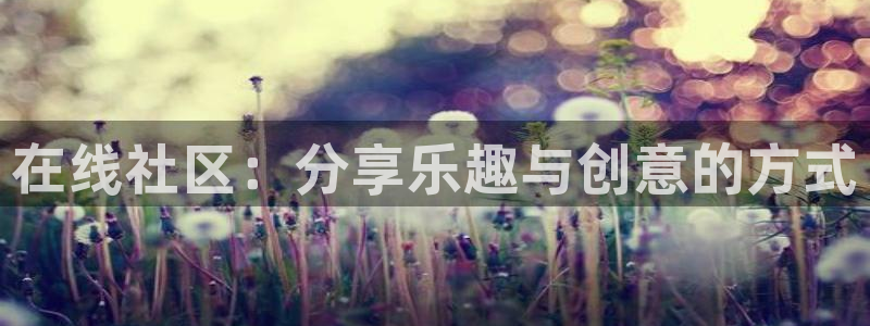 程极悦：在线社区：分享乐趣与创意的方式
